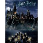 Puzzle Harry Potter Mundo 550 Piezas