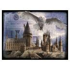 Puzzle Lenticular 3D Harry Potter Hogwarts & Hedwig 500 piezas