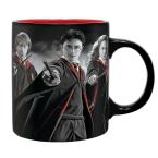 Taza Harry, Ron y Hermione Harry Potter